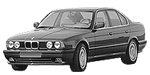 BMW E34 C245A Fault Code